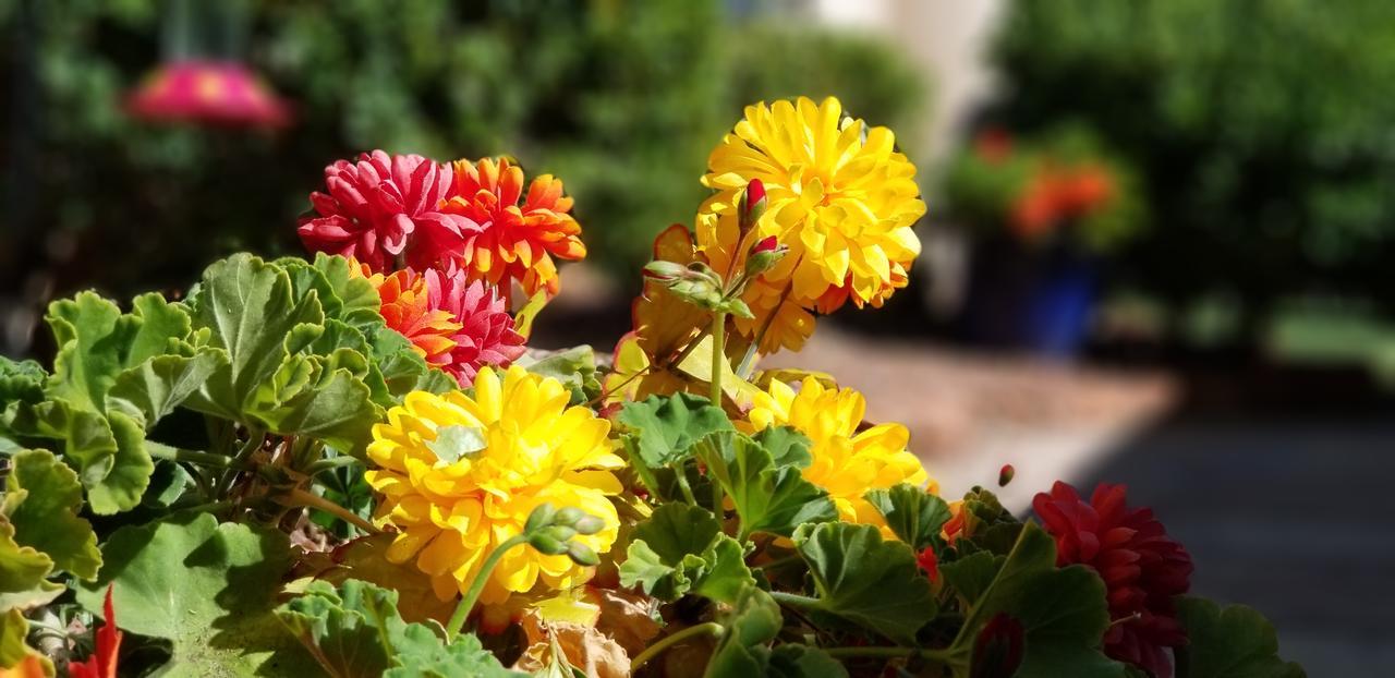 Adobe Hacienda Bed & Breakfast Sedona Dış mekan fotoğraf